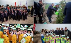 “TÜRKİYE’NİN GÜCÜ ORMAN” MESAJI Bursa’DA GÜÇLÜ YANKI BULDU!